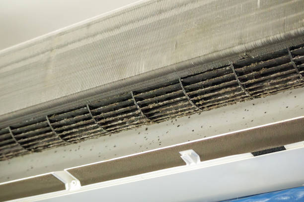 Best Best Air Duct Cleaning Company  in Jefferson, GA