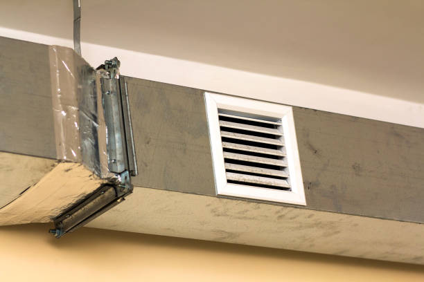 Air Duct Mold Removal